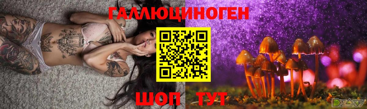 Подольск  Галлюциногенные грибы прущие грибы  Псилоцибиновые грибы мухоморы  где можно купить наркотик  Вход с VPN 